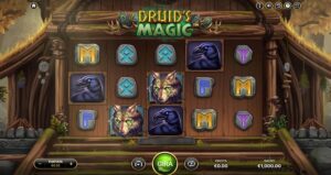 druid's magic slot